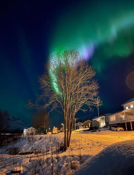 Leilighet I Nord Tromsø Exteriör bild