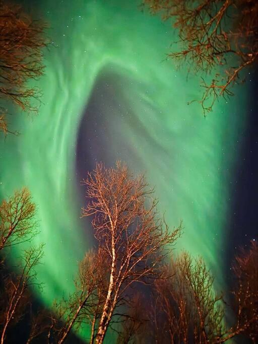 Leilighet I Nord Tromsø Exteriör bild